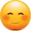 今日土气